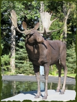 Moose