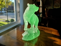 Old Scarface  2nd picture