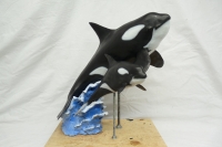 Killer-Whales
