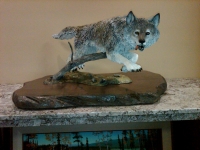 White-Fang